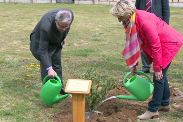 FAÜLTETÉSI PROGRAM INDUL EGERBEN