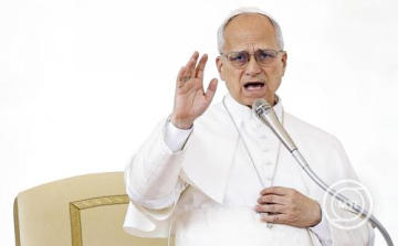 XIV. Leó pápa legalább egynapos tűzszünetet sürgetett az ukrajnai harctéren